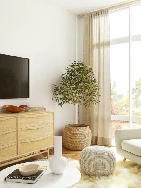 Modern living room with a large smart TV